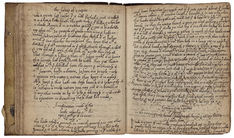 Double-page spread of old book that looks like a diary. Both pages are filled with neat, cursive handwriting in ink.