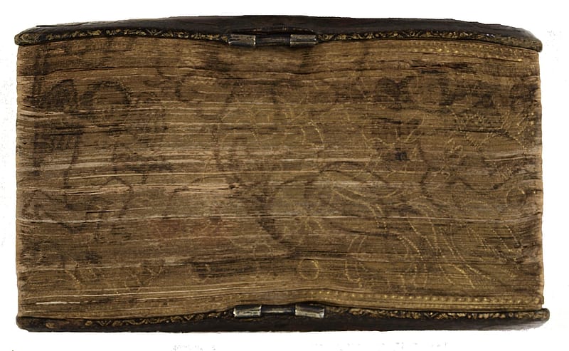 Fore-edge of an old book with a hand-drawn illustration of two cherubs dancing around a large sun flower.