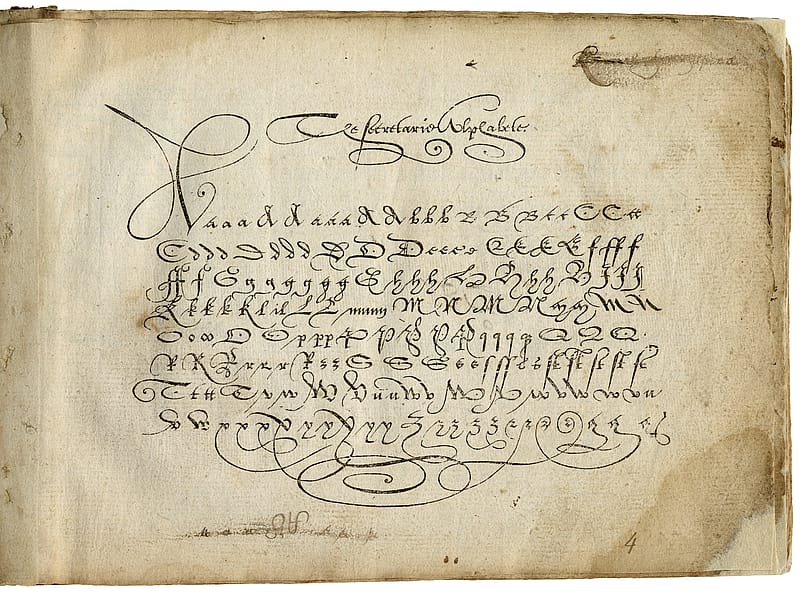 Page from an old book with lines of elegant, cursive writing in ink.